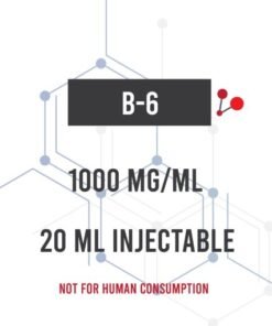 B6 20ML